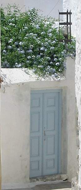 Blumen in den Grten des Chorio von Patmos